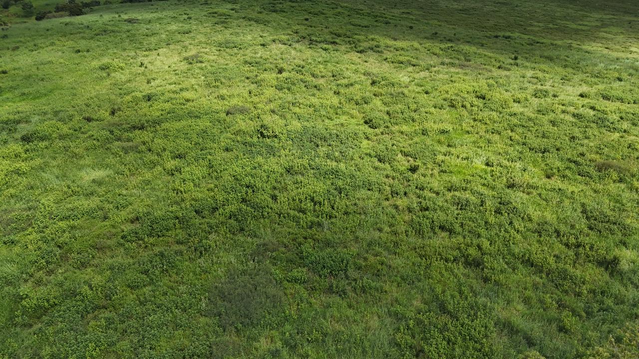 WhatsApp Image 2026-02-19 at 14.29.04 (3)