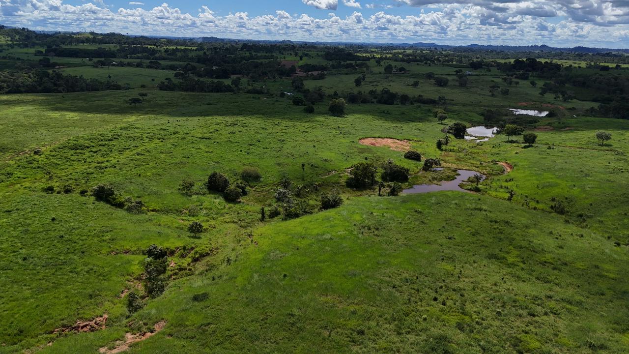 WhatsApp Image 2026-02-19 at 14.29.04