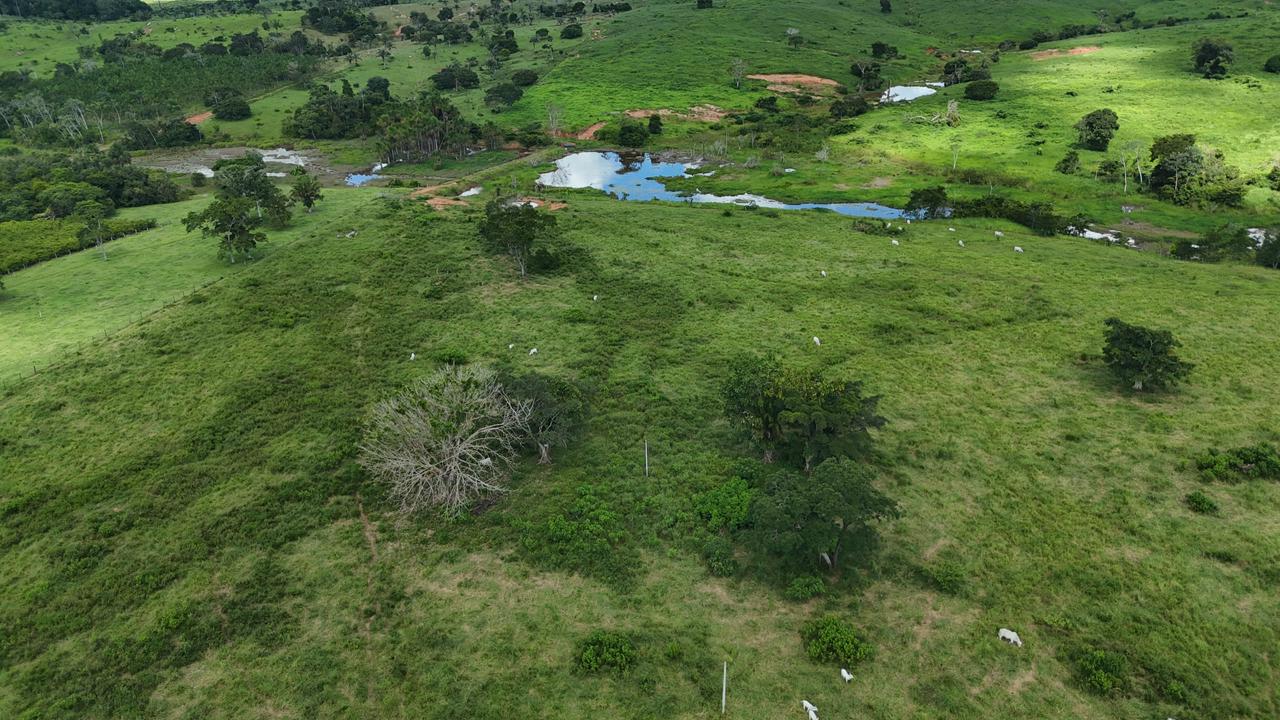 WhatsApp Image 2026-02-19 at 14.29.05 (1)