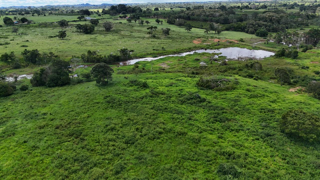 WhatsApp Image 2026-02-19 at 14.29.05 (2)