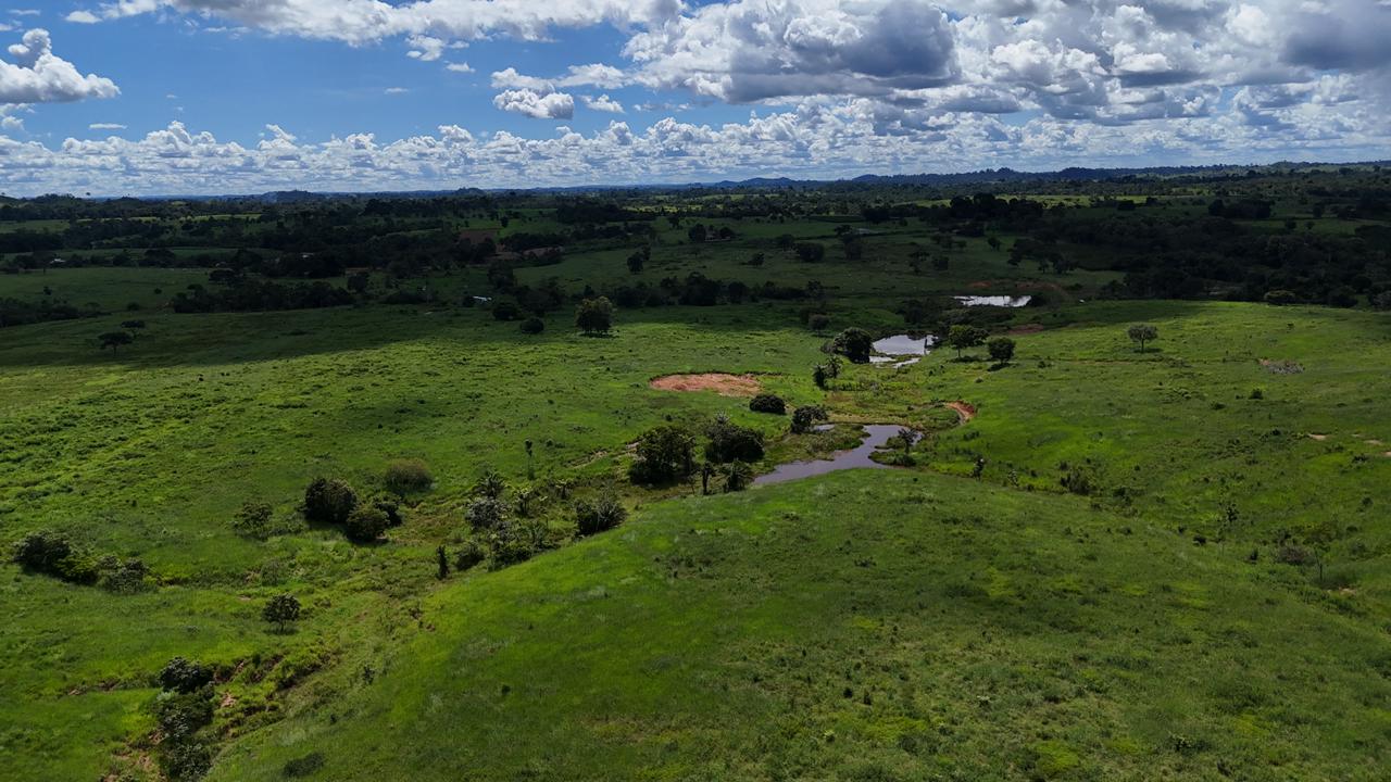 WhatsApp Image 2026-02-19 at 14.29.05