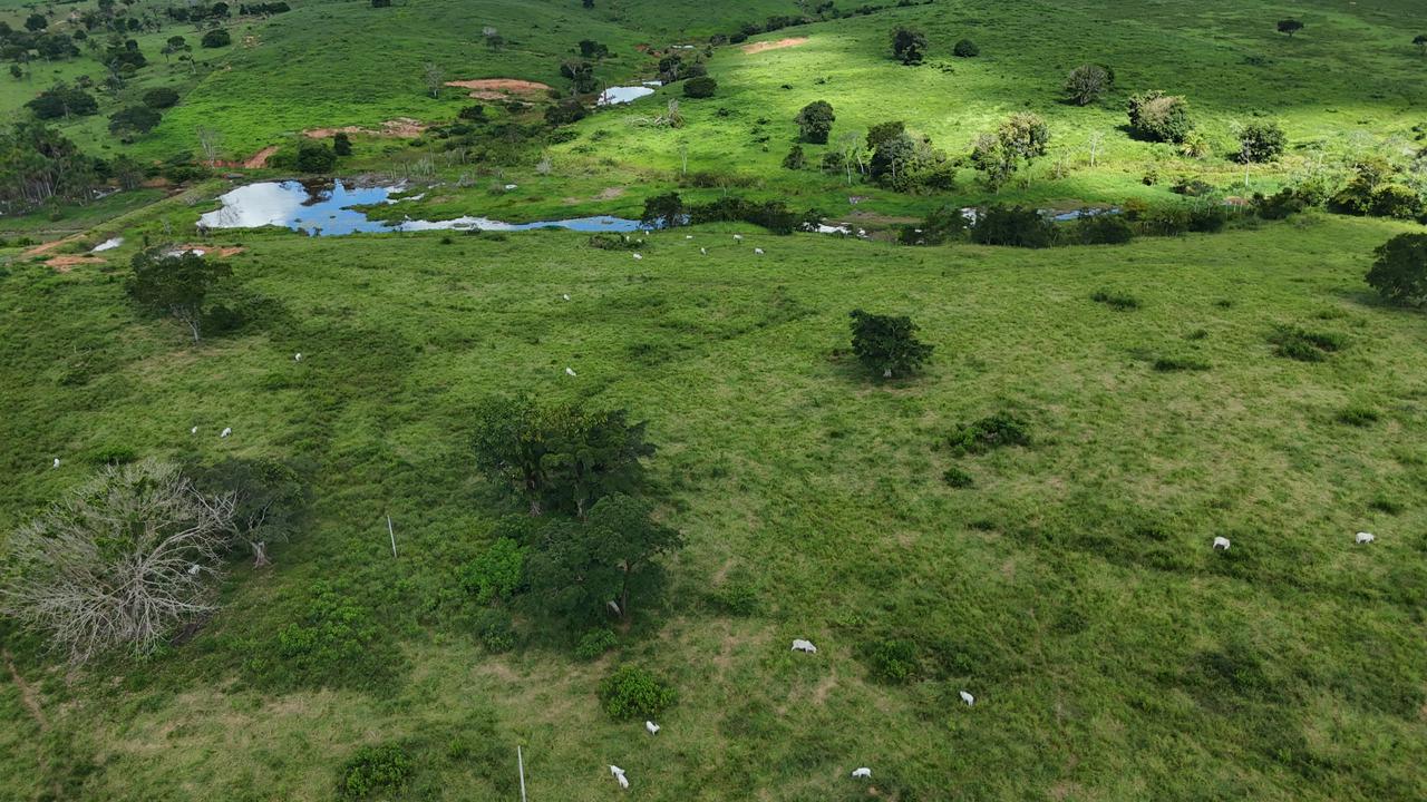 WhatsApp Image 2026-02-19 at 14.29.06 (1)