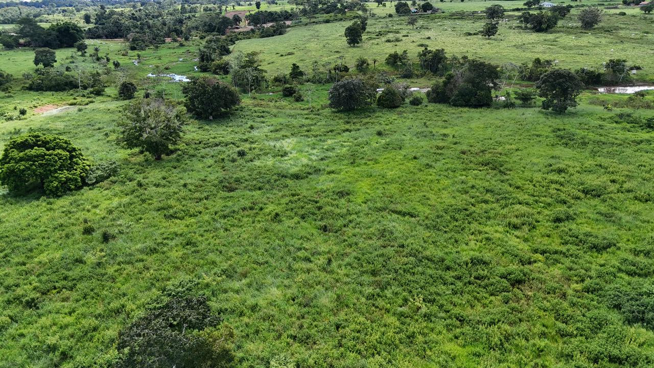 WhatsApp Image 2026-02-19 at 14.29.06