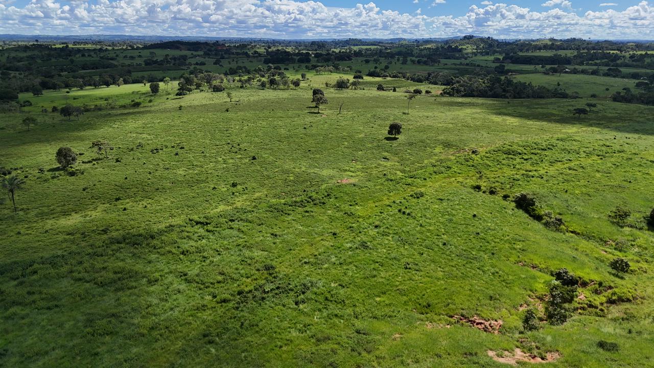 WhatsApp Image 2026-02-19 at 14.51.21 (1)