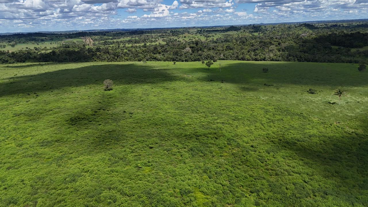 WhatsApp Image 2026-02-19 at 14.51.21 (2)