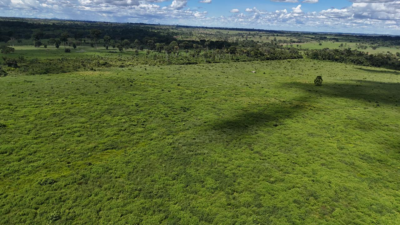 WhatsApp Image 2026-02-19 at 14.51.21