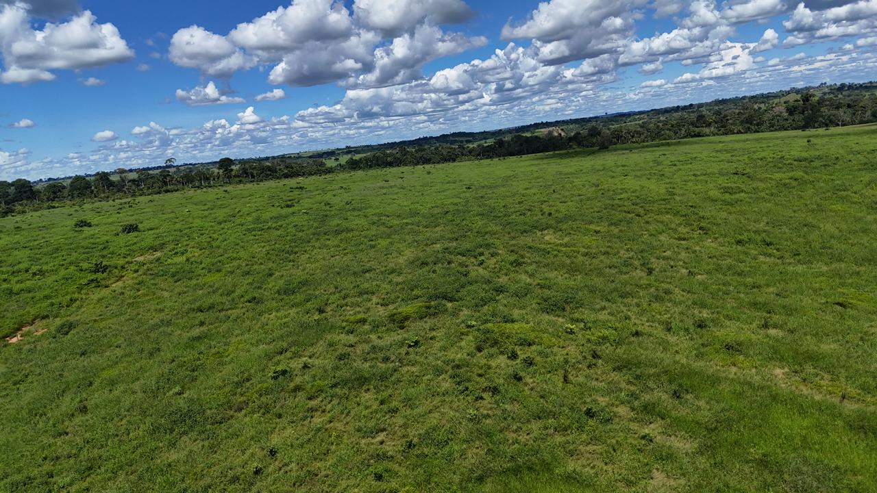 WhatsApp Image 2026-02-19 at 14.51.22 (1)