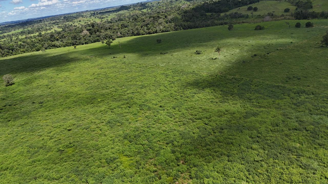 WhatsApp Image 2026-02-19 at 14.51.22 (3)