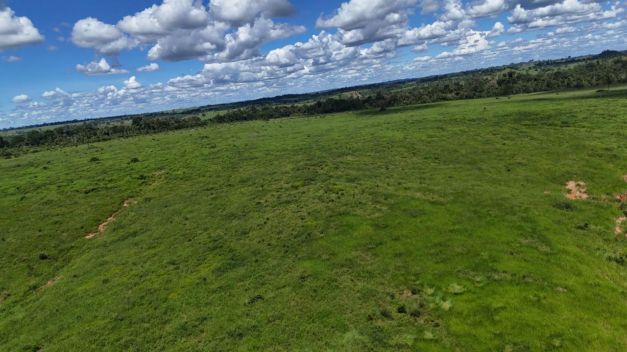 WhatsApp Image 2026-02-19 at 14.51.22