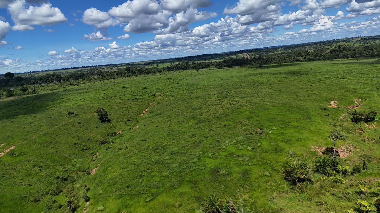 WhatsApp Image 2026-02-19 at 14.51.23 (1)