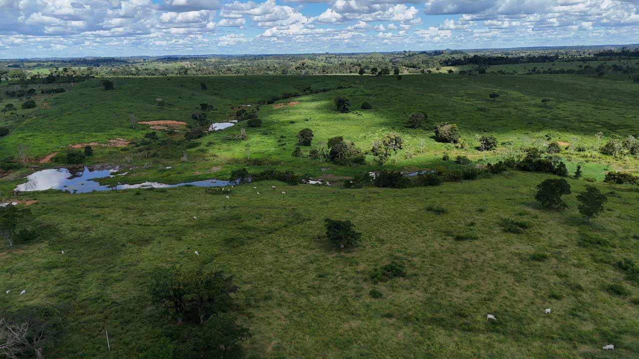 WhatsApp Image 2026-02-19 at 14.51.23 (2)