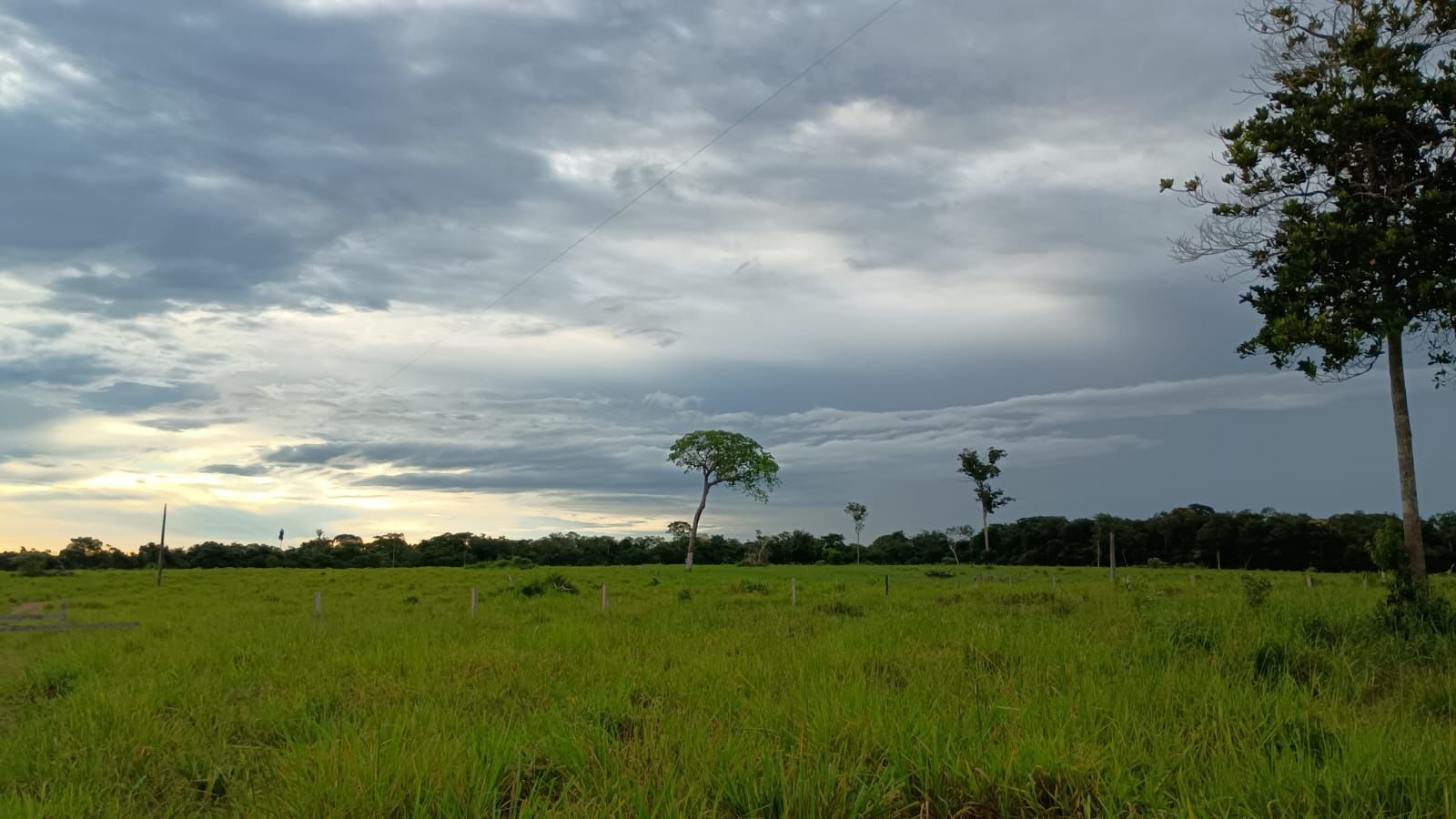 WhatsApp Image 2026-02-20 at 10.22.42 (1)