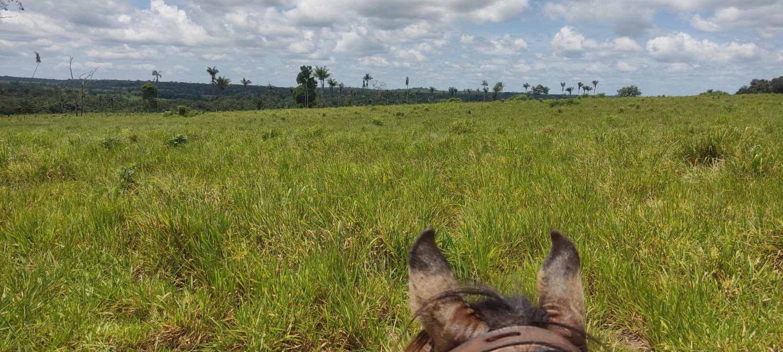 WhatsApp Image 2026-02-20 at 10.22.42 (2)