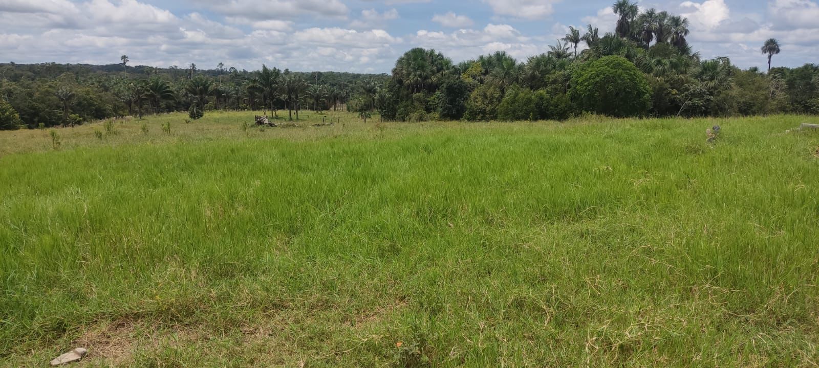 WhatsApp Image 2026-02-20 at 10.22.42 (3)