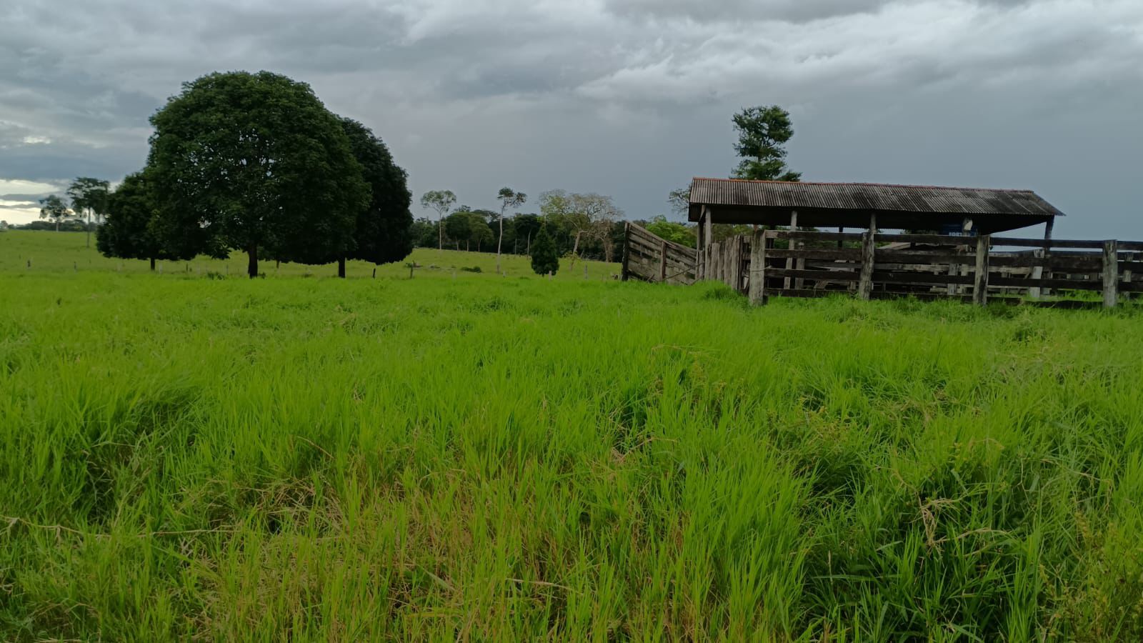 WhatsApp Image 2026-02-20 at 10.22.42