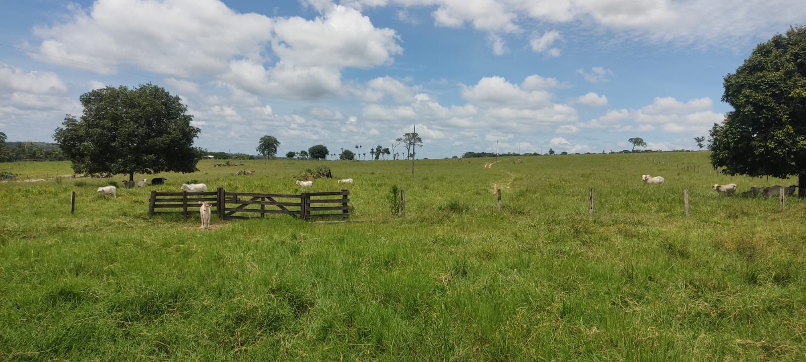 WhatsApp Image 2026-02-20 at 10.22.43 (1)