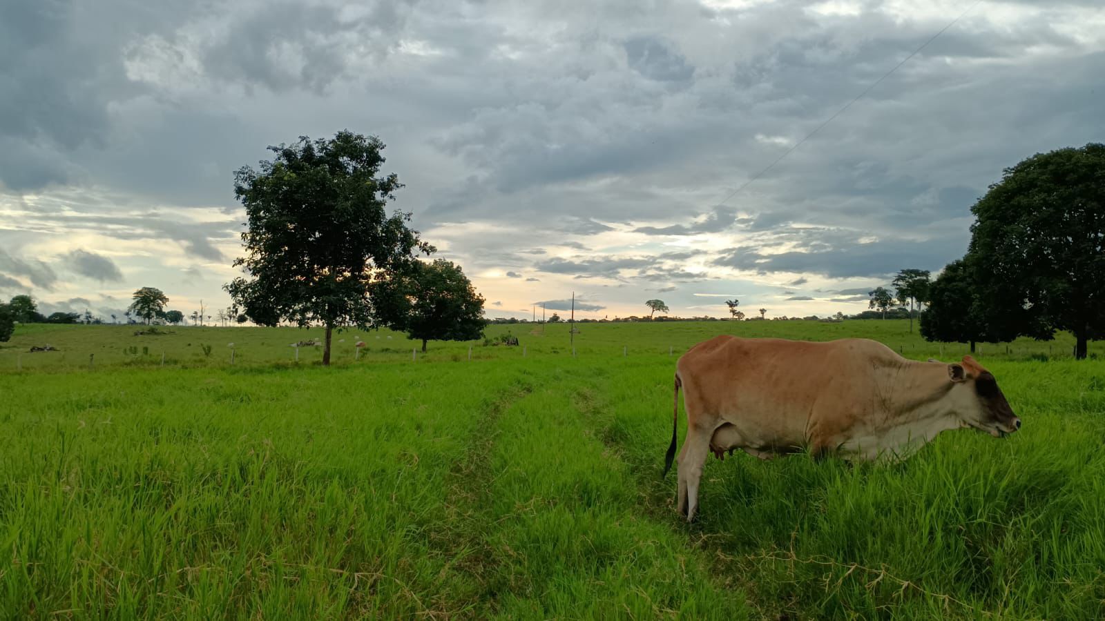 WhatsApp Image 2026-02-20 at 10.22.43 (2)