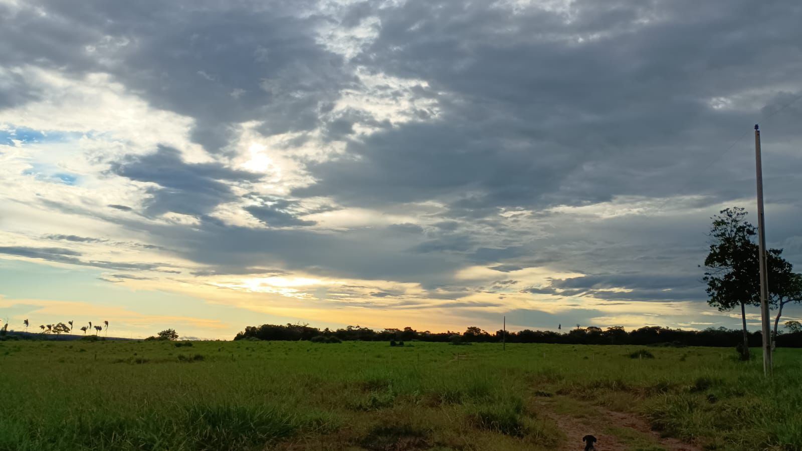 WhatsApp Image 2026-02-20 at 10.22.43 (3)