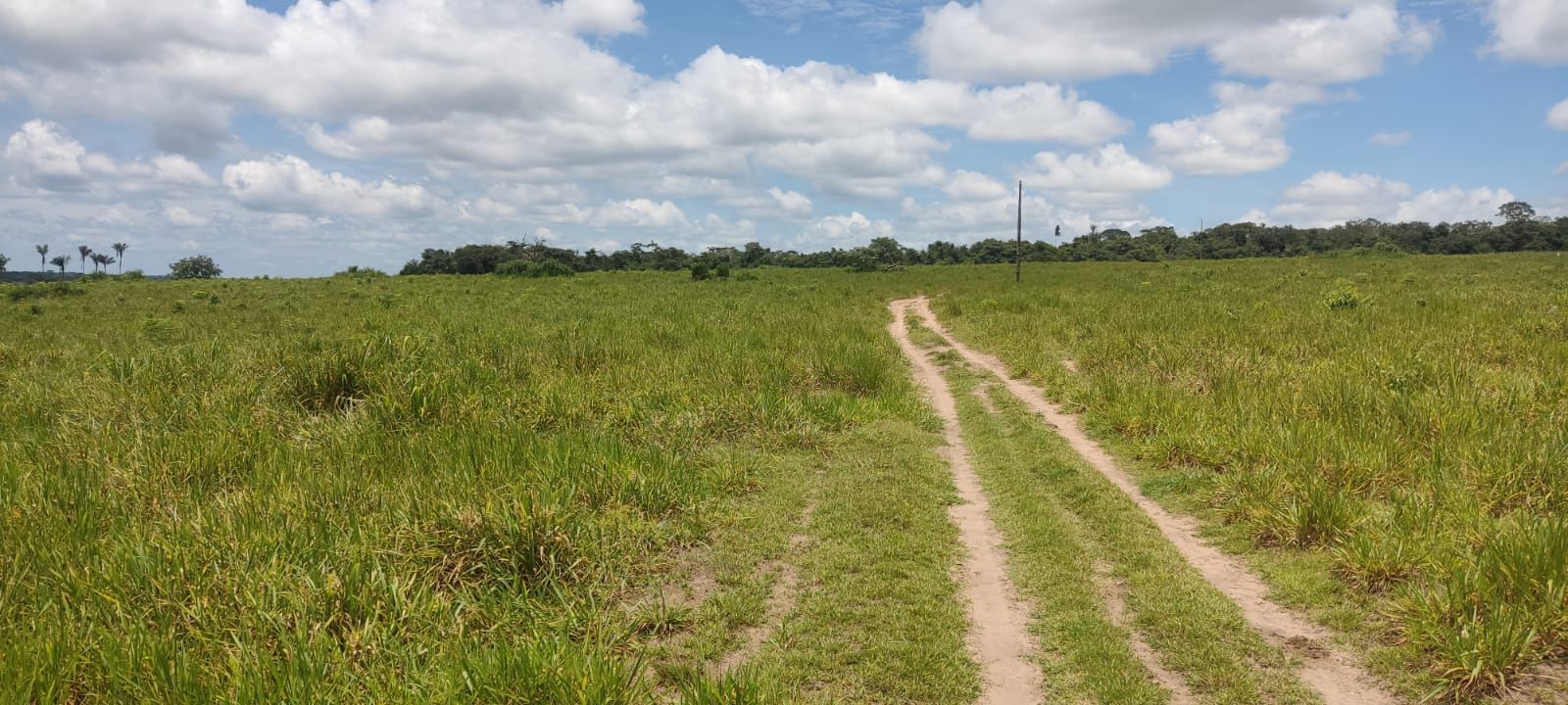 WhatsApp Image 2026-02-20 at 10.22.44 (1)