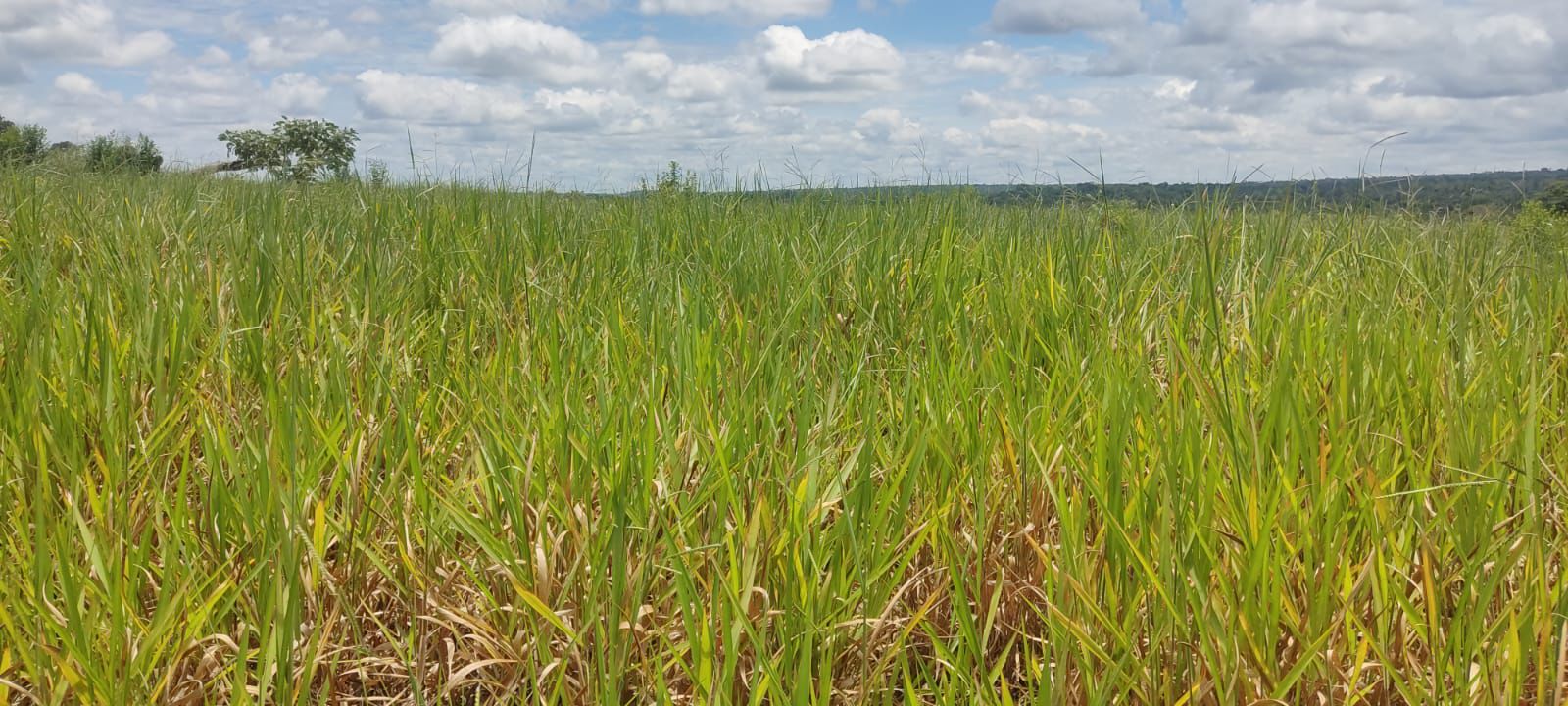 WhatsApp Image 2026-02-20 at 10.22.44