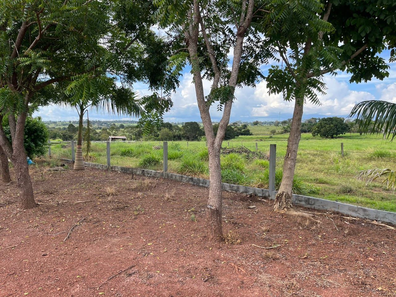 WhatsApp Image 2026-02-20 at 13.37.00 (1)