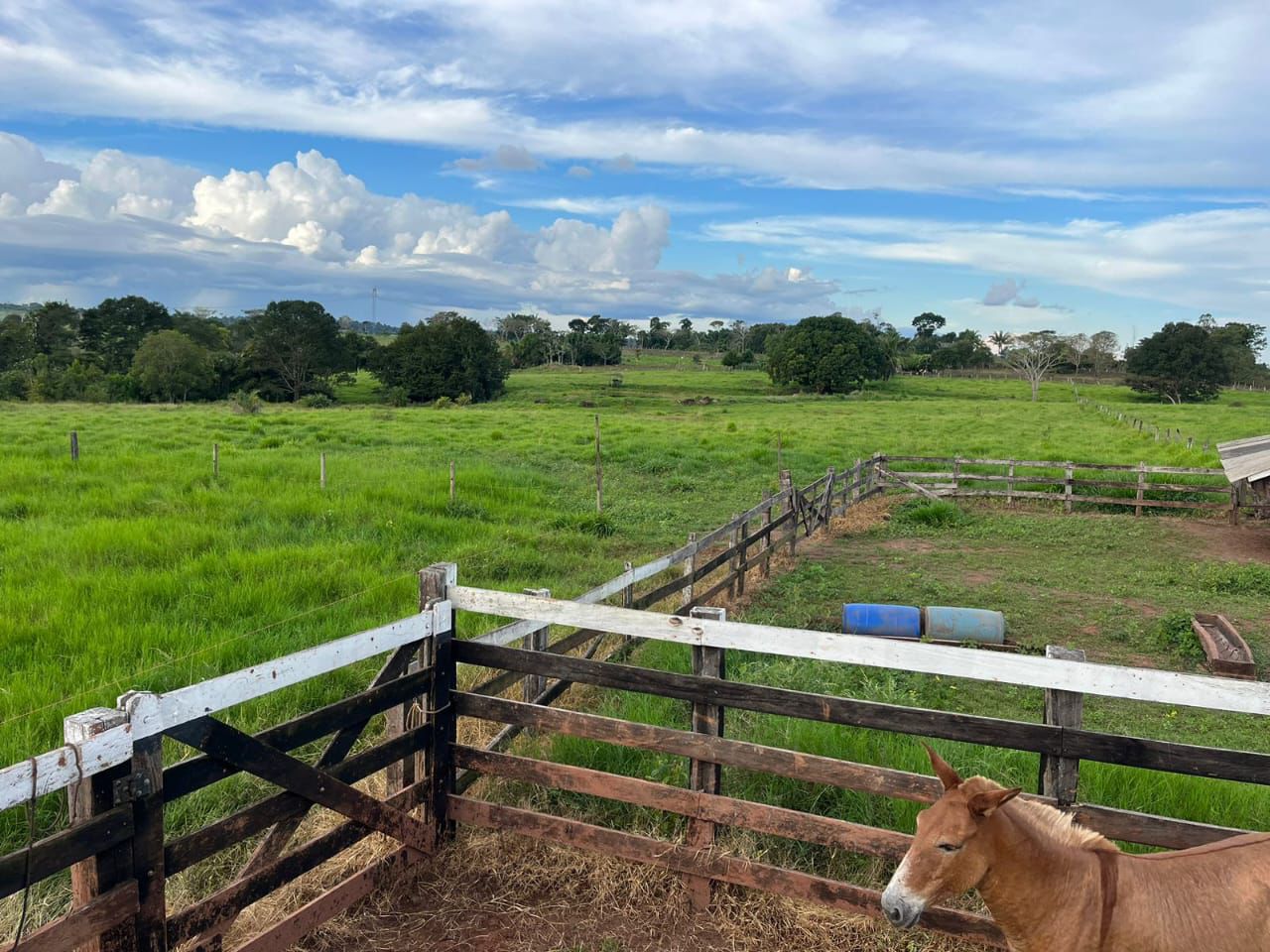 WhatsApp Image 2026-02-20 at 13.37.00 (2)