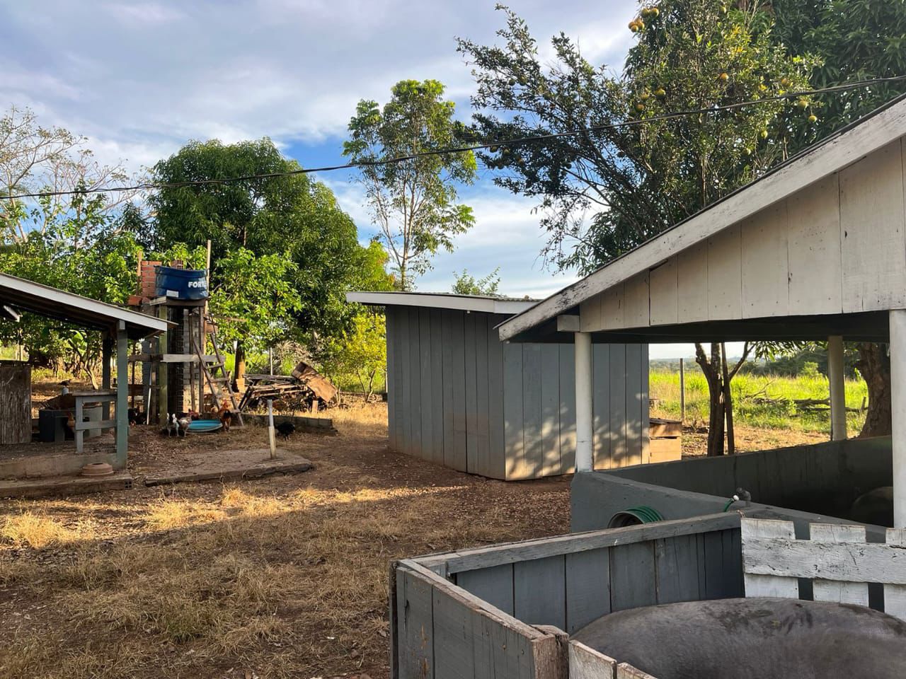 WhatsApp Image 2026-02-20 at 13.37.01 (1)