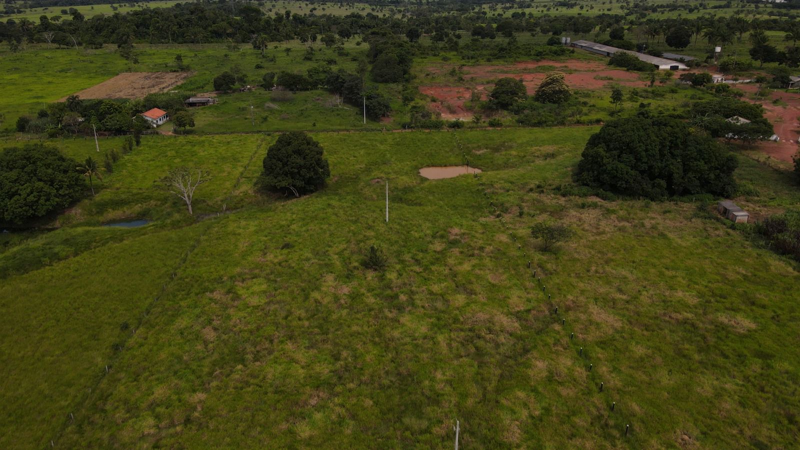 WhatsApp Image 2026-02-20 at 13.37.01 (3)