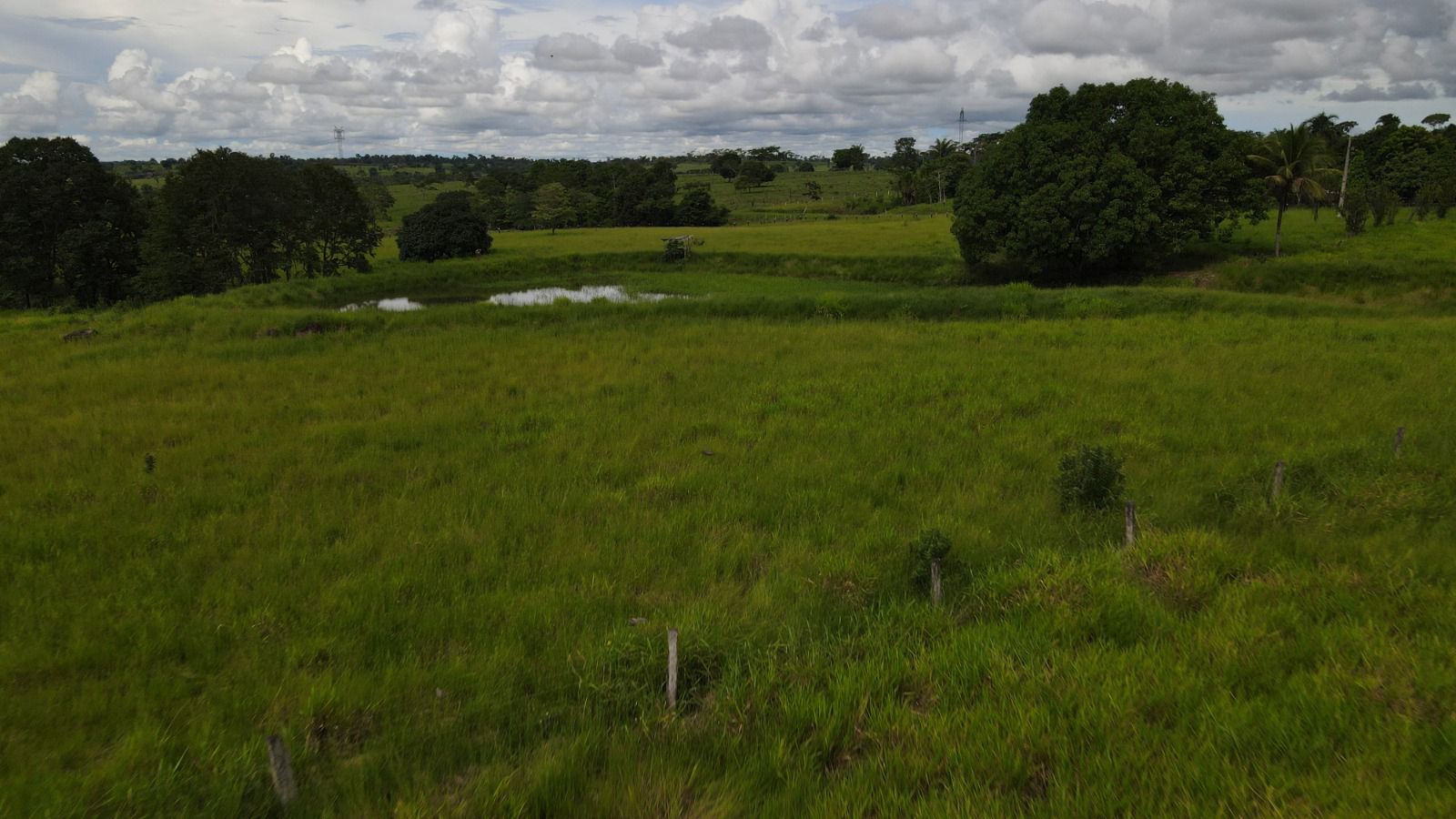 WhatsApp Image 2026-02-20 at 13.37.02 (1)