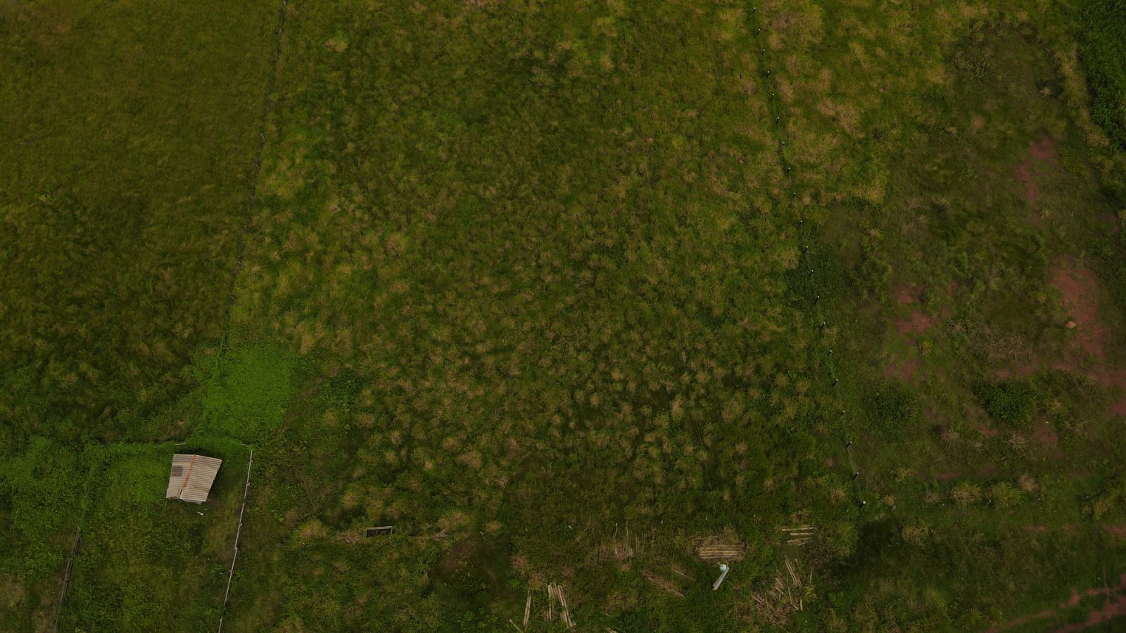 WhatsApp Image 2026-02-20 at 13.37.02