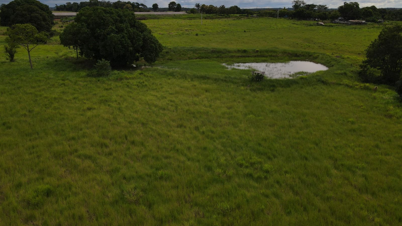 WhatsApp Image 2026-02-20 at 13.37.03