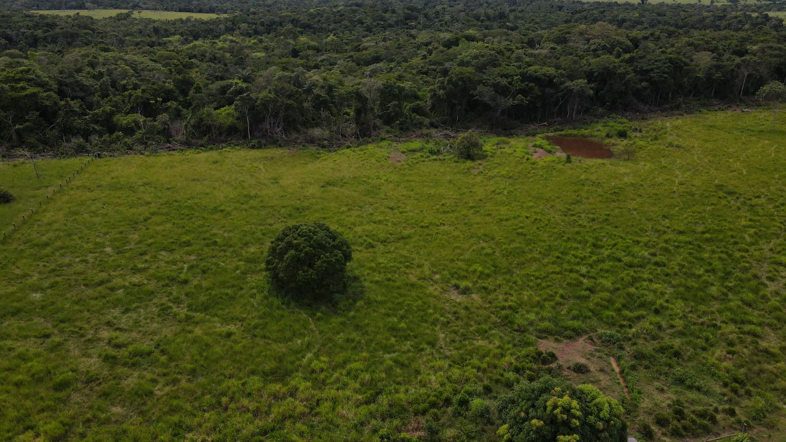 WhatsApp Image 2026-02-20 at 13.37.04