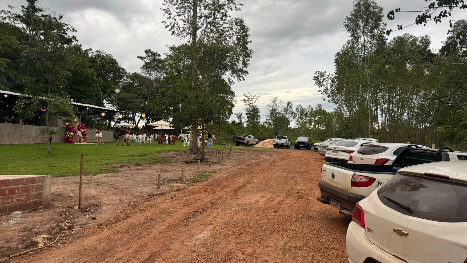 WhatsApp Image 2026-02-20 at 13.52.24