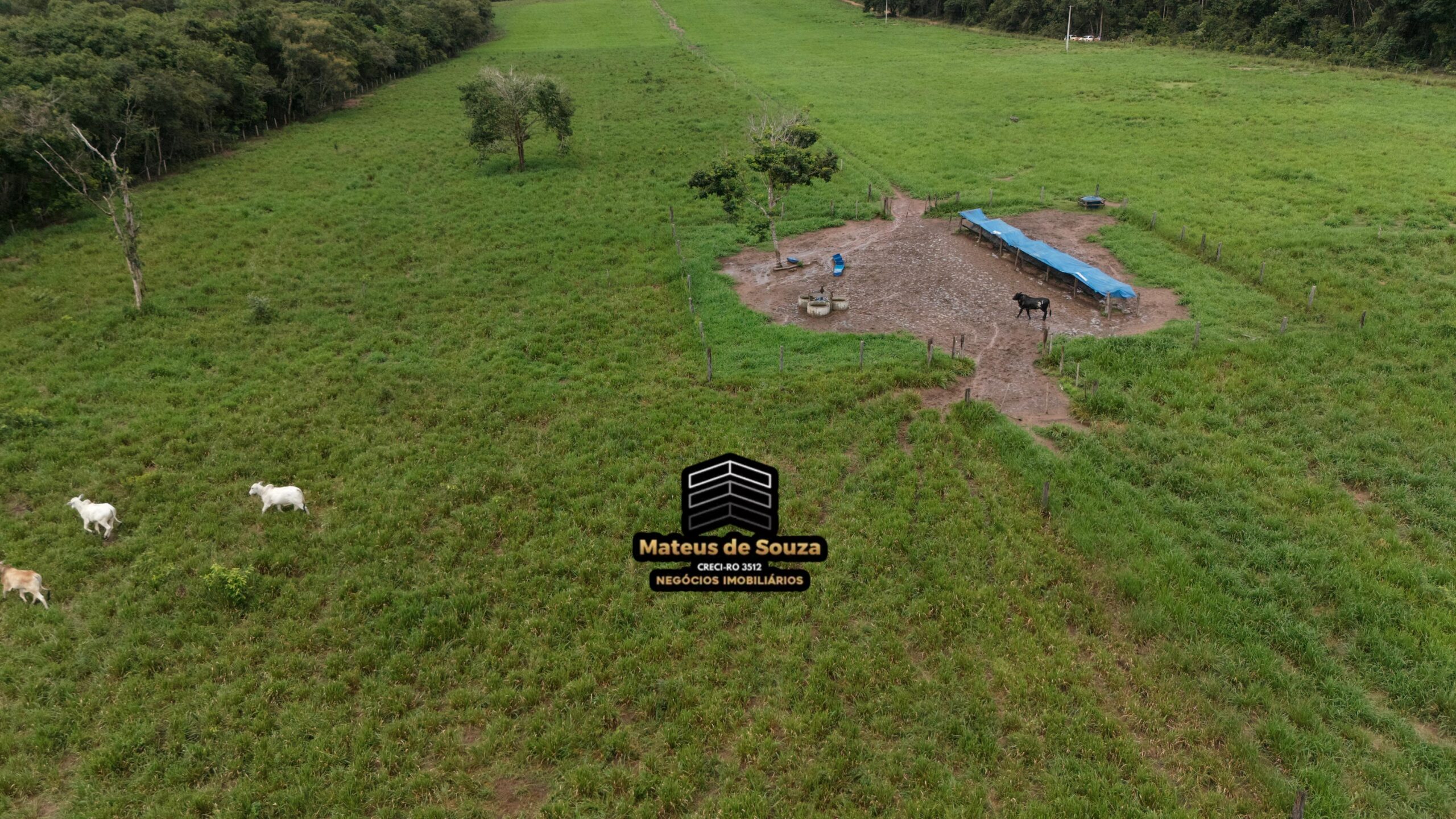 WhatsApp Image 2026-02-21 at 20.13.39