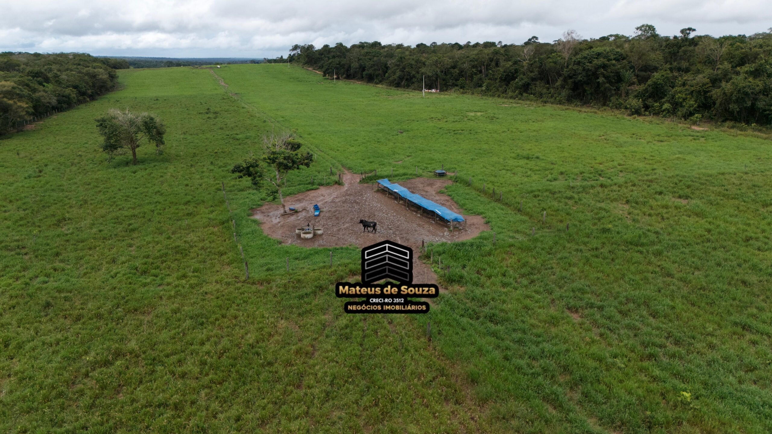 WhatsApp Image 2026-02-21 at 20.13.40 (1)