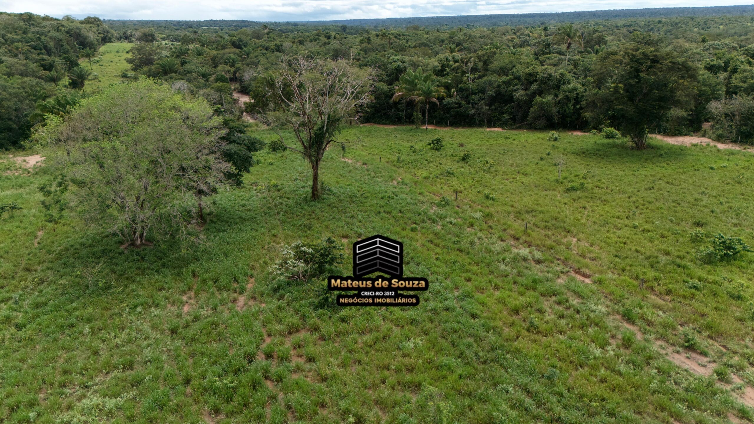 WhatsApp Image 2026-02-21 at 20.13.40