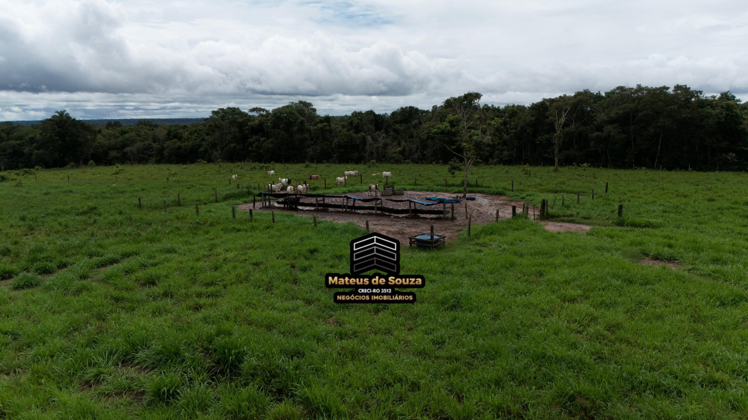 WhatsApp Image 2026-02-21 at 20.13.41