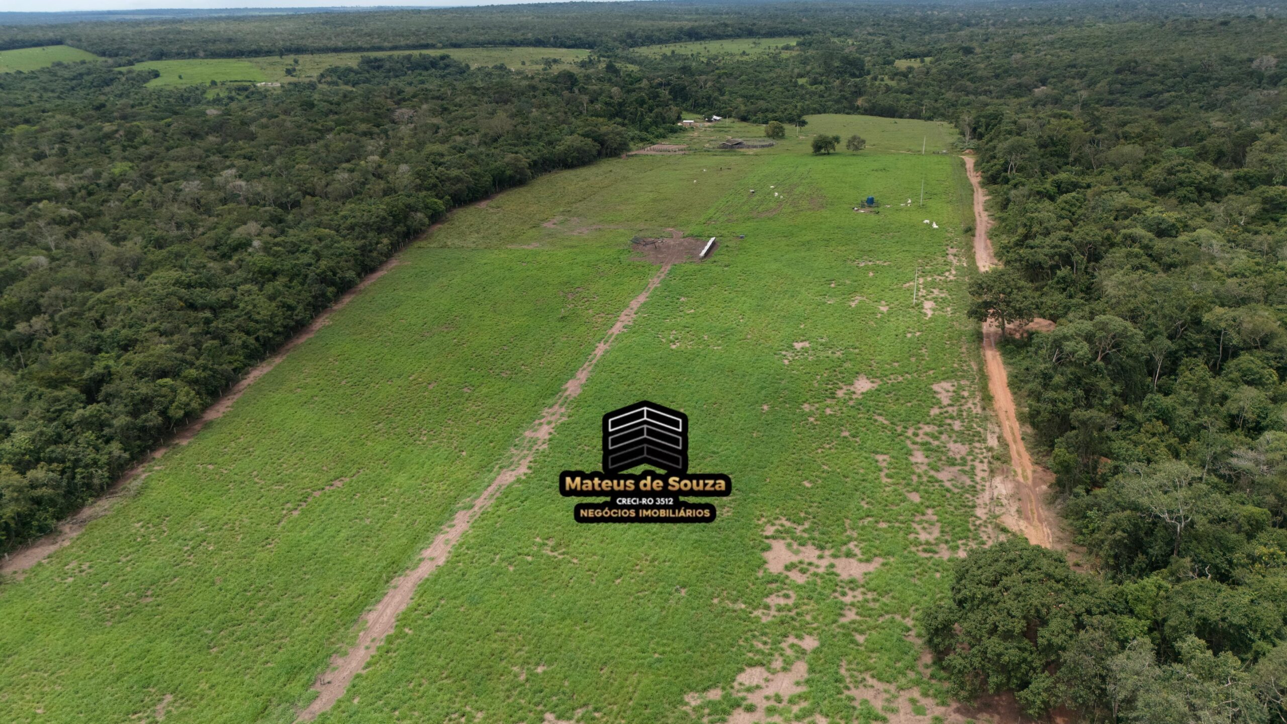 WhatsApp Image 2026-02-21 at 20.13.42