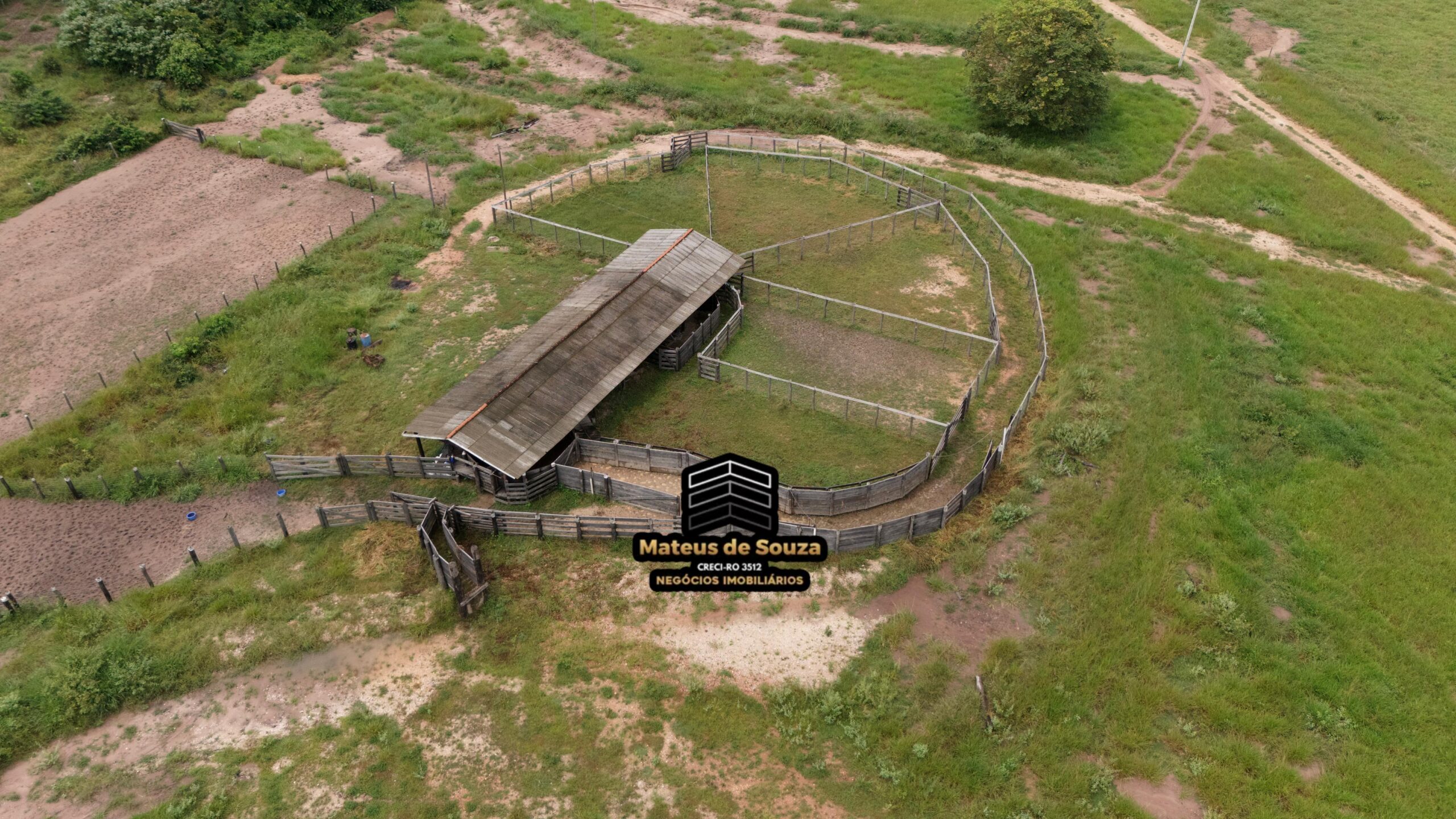 WhatsApp Image 2026-02-21 at 20.13.43