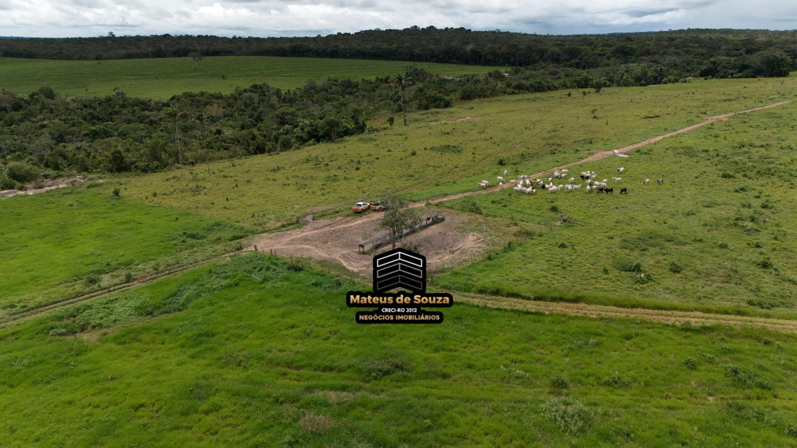 WhatsApp Image 2026-02-21 at 20.13.50 (1)