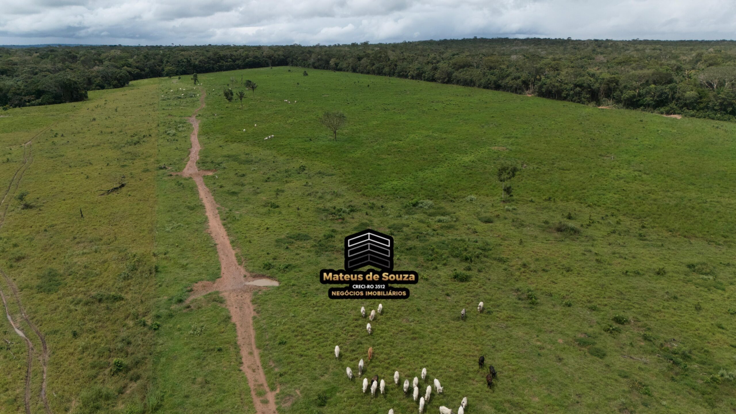 WhatsApp Image 2026-02-21 at 20.13.50