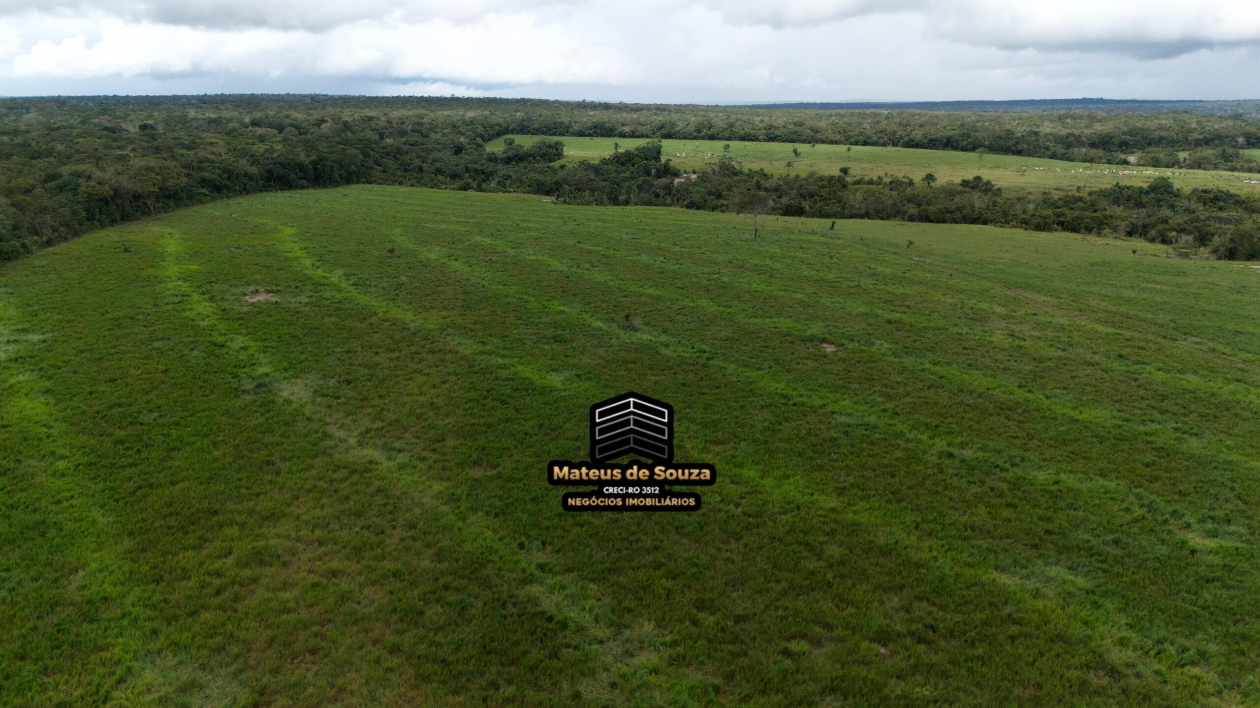 WhatsApp Image 2026-02-21 at 20.13.51 (1)