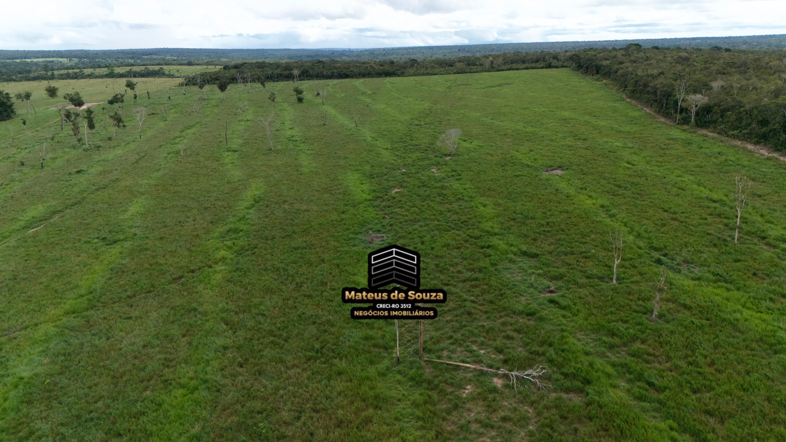 WhatsApp Image 2026-02-21 at 20.13.51