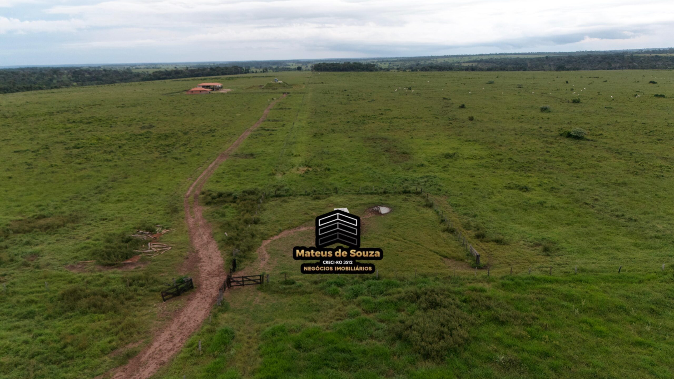 WhatsApp Image 2026-02-21 at 20.14.43 (1)