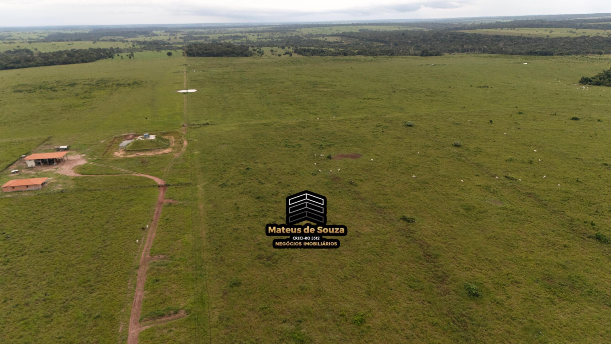 WhatsApp Image 2026-02-21 at 20.14.43