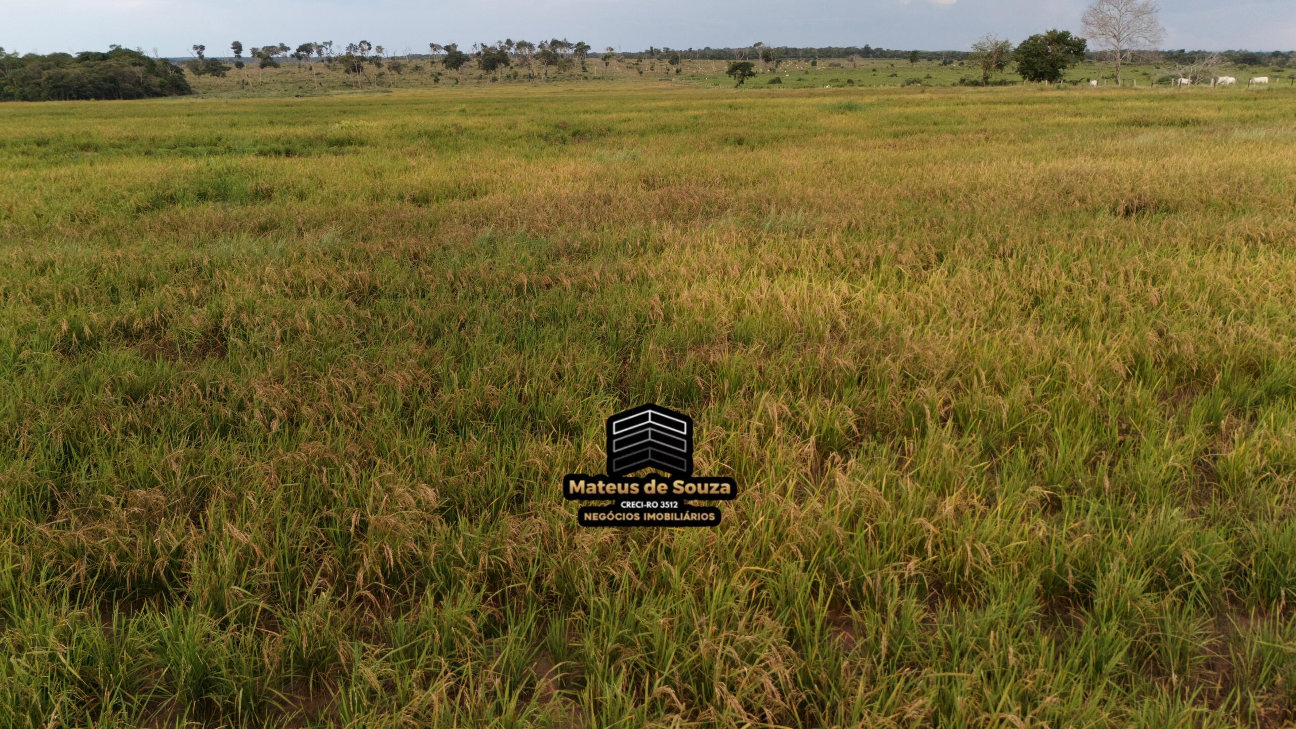 WhatsApp Image 2026-02-21 at 20.14.44