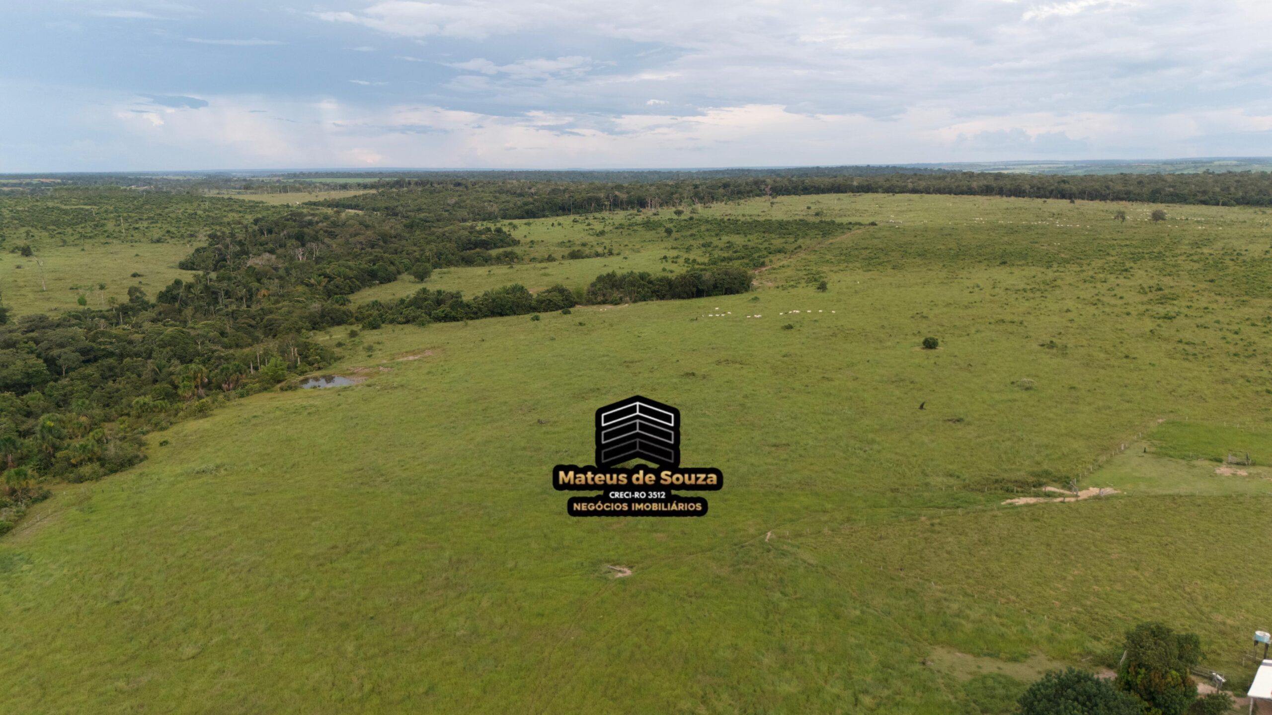 WhatsApp Image 2026-02-21 at 20.14.46 (1)