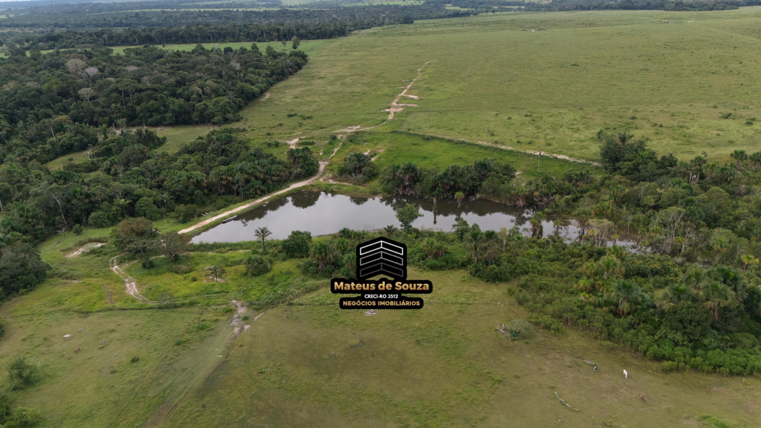 WhatsApp Image 2026-02-21 at 20.14.46