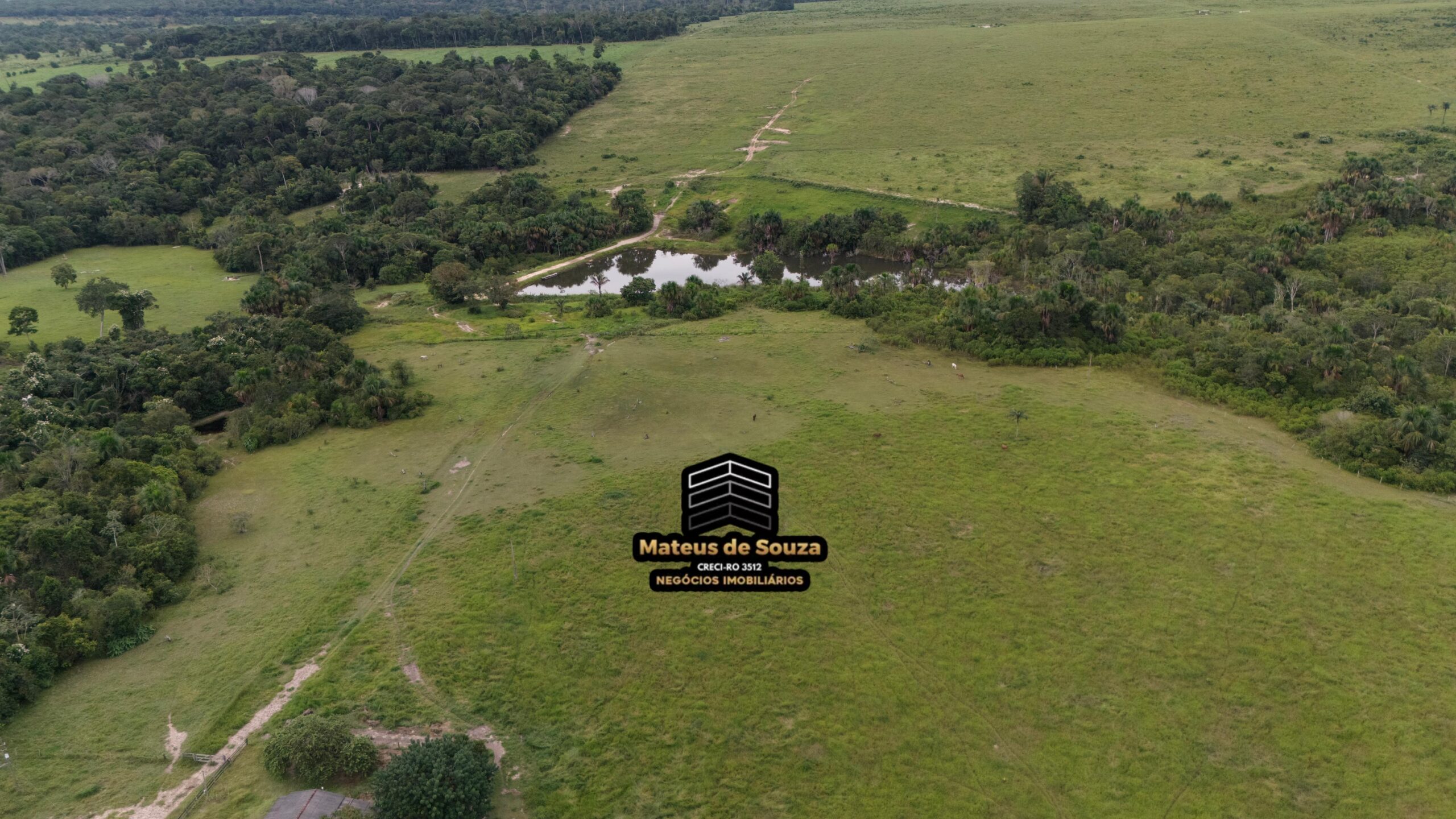 WhatsApp Image 2026-02-21 at 20.14.47 (1)