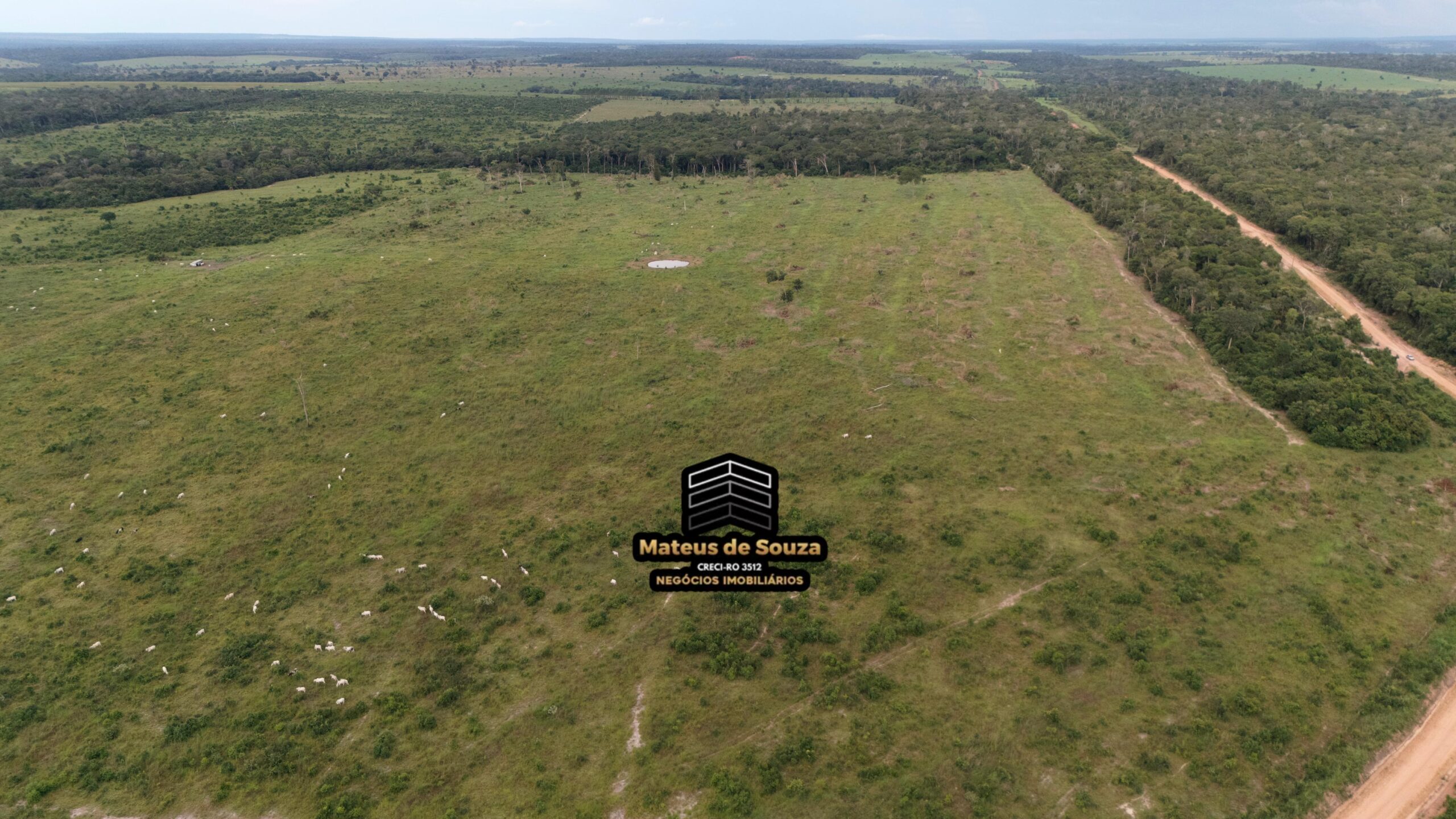 WhatsApp Image 2026-02-21 at 20.14.47